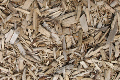 biomass boilers Bitterne